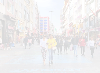 Bakırköy İlçe Başkanı